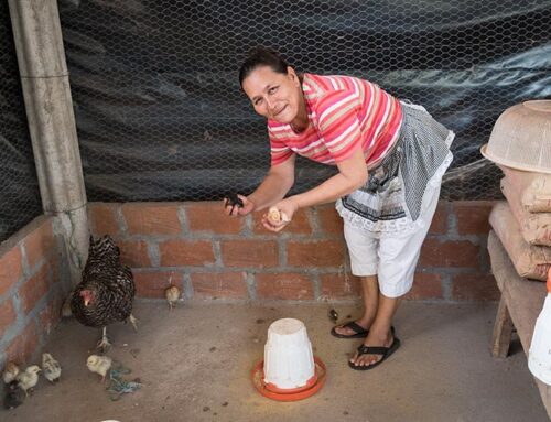 Asociación Mangle – Picture 3