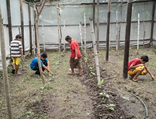 Asociación Mangle – Picture 4