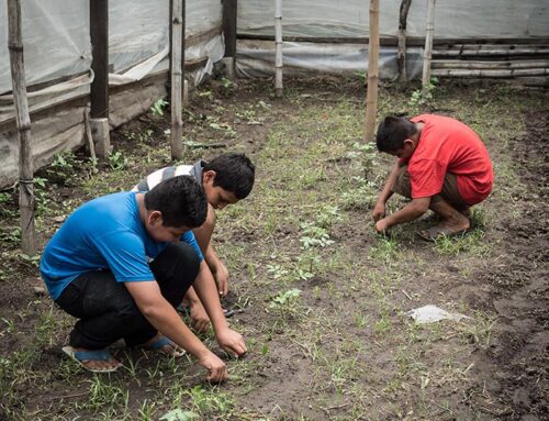 Asociación Mangle – Picture 5