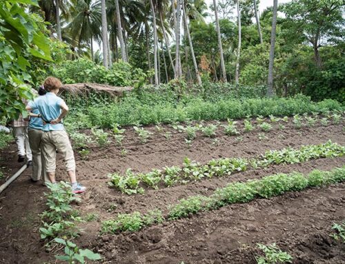 Asociación Mangle – Picture 6