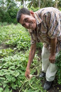 2016 - Don Lupe shows his crop of green beans