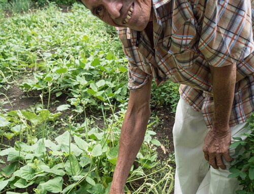 Asociación Mangle – Picture 7