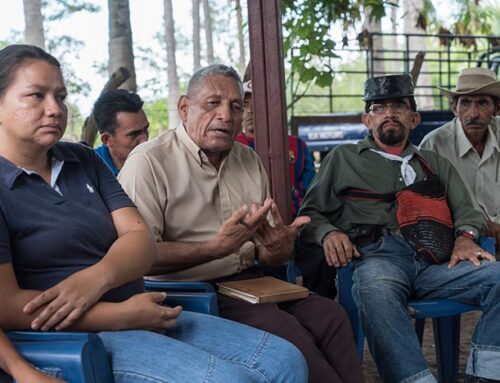 Asociación Mangle – Picture 8