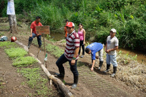 2015 - Colectivo youth with their seedlings