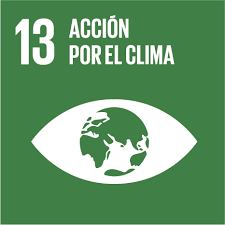 13 - ACCIÓN POR EL CLIMA
